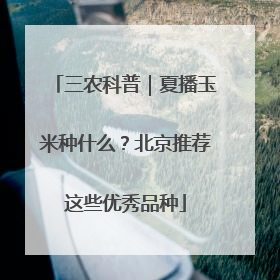三农科普｜夏播玉米种什么？北京推荐这些优秀品种