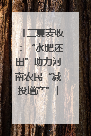 三夏麦收：“水肥还田”助力河南农民“减投增产”