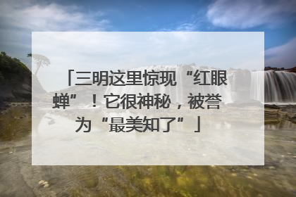 三明这里惊现“红眼蝉”！它很神秘，被誉为“最美知了”
