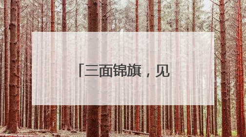 三面锦旗，见证振森能源的“非凡合作”！
