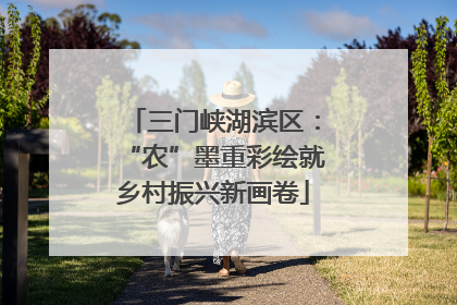 三门峡湖滨区：“农”墨重彩绘就乡村振兴新画卷
