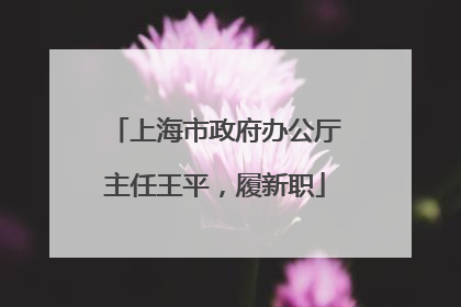 上海市政府办公厅主任王平，履新职