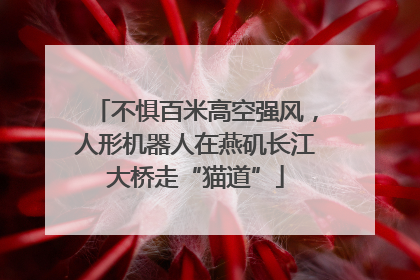 不惧百米高空强风，人形机器人在燕矶长江大桥走“猫道”