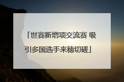 世赛新增项交流赛 吸引多国选手来穗切磋