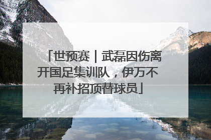 世预赛｜武磊因伤离开国足集训队，伊万不再补招顶替球员