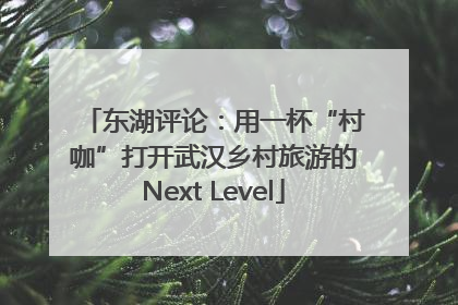 东湖评论：用一杯“村咖”打开武汉乡村旅游的Next Level