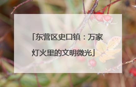 东营区史口镇：万家灯火里的文明微光