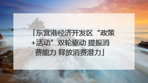 东营港经济开发区“政策+活动”双轮驱动 提振消费能力 释放消费潜力