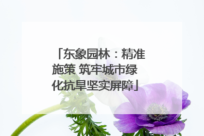 东象园林：精准施策 筑牢城市绿化抗旱坚实屏障