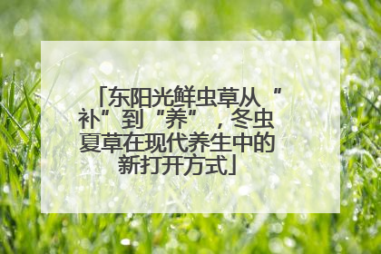 东阳光鲜虫草从“补”到“养”，冬虫夏草在现代养生中的新打开方式