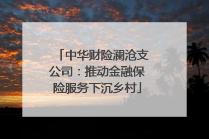 中华财险澜沧支公司：推动金融保险服务下沉乡村