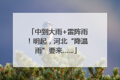 中到大雨+雷阵雨！明起，河北“降温雨”要来……