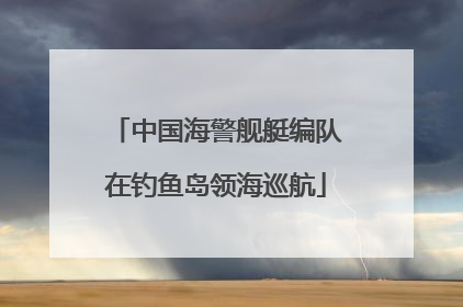 中国海警舰艇编队在钓鱼岛领海巡航