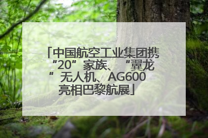 中国航空工业集团携“20”家族、“翼龙”无人机、AG600亮相巴黎航展