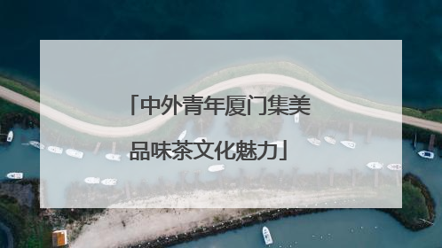 中外青年厦门集美品味茶文化魅力