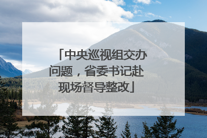 中央巡视组交办问题，省委书记赴现场督导整改