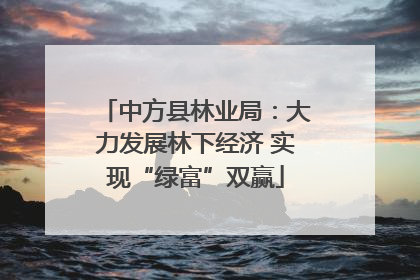 中方县林业局：大力发展林下经济 实现“绿富”双赢