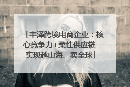丰泽跨境电商企业：核心竞争力+柔性供应链 实现越山海、卖全球