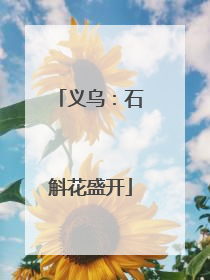 义乌：石斛花盛开