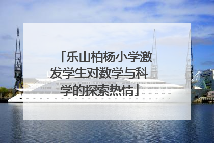 乐山柏杨小学激发学生对数学与科学的探索热情