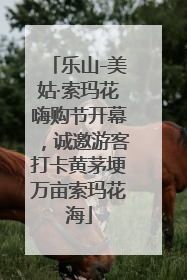 乐山-美姑·索玛花嗨购节开幕，诚邀游客打卡黄茅埂万亩索玛花海