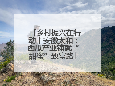 乡村振兴在行动丨安徽太和：西瓜产业铺就“甜蜜”致富路