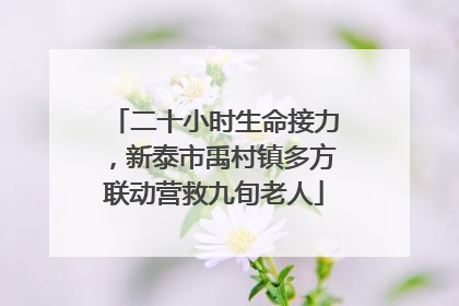 二十小时生命接力，新泰市禹村镇多方联动营救九旬老人