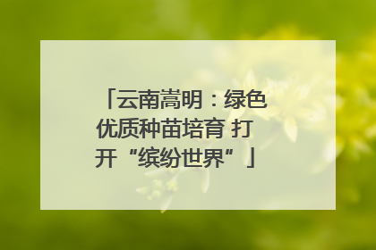 云南嵩明：绿色优质种苗培育 打开“缤纷世界”