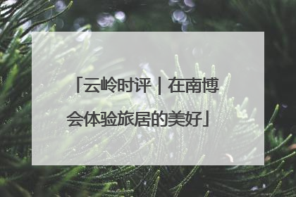 云岭时评｜在南博会体验旅居的美好