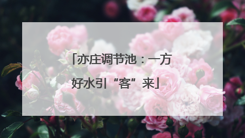 亦庄调节池：一方好水引“客”来
