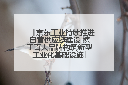 京东工业持续推进自营供应链建设 携手百大品牌构筑新型工业化基础设施