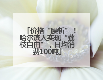 价格“腰斩”！哈尔滨人实现“荔枝自由”，日均消费100吨