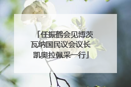 任振鹤会见博茨瓦纳国民议会议长凯奥拉佩采一行