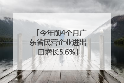今年前4个月广东省民营企业进出口增长5.6%