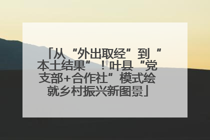 从“外出取经”到“本土结果”！叶县“党支部+合作社”模式绘就乡村振兴新图景