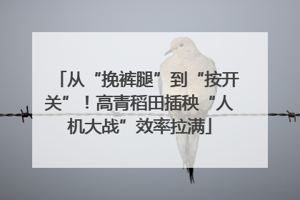 从“挽裤腿”到“按开关”！高青稻田插秧“人机大战”效率拉满
