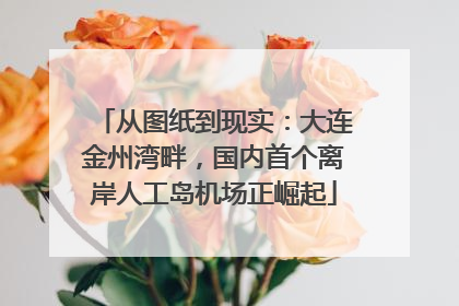 从图纸到现实：大连金州湾畔，国内首个离岸人工岛机场正崛起