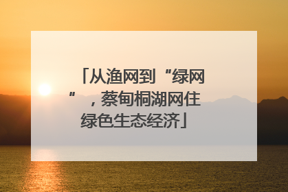 从渔网到“绿网”，蔡甸桐湖网住绿色生态经济