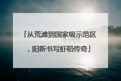 从荒滩到国家级示范区，阳新书写虾稻传奇