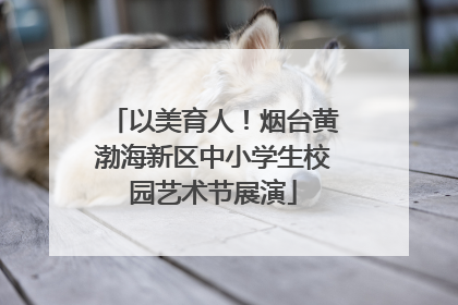 以美育人！烟台黄渤海新区中小学生校园艺术节展演