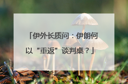 伊外长质问：伊朗何以“重返”谈判桌？