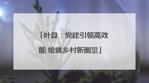 叶县：党建引领高效能 绘就乡村新图景