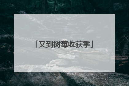 又到树莓收获季