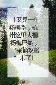 又是一年杨梅季，杭州这里大棚杨梅已熟，“采摘攻略”来了