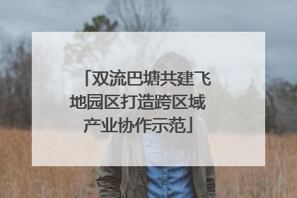 双流巴塘共建飞地园区打造跨区域产业协作示范