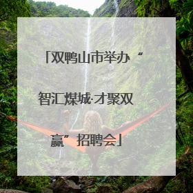 双鸭山市举办“智汇煤城·才聚双赢”招聘会
