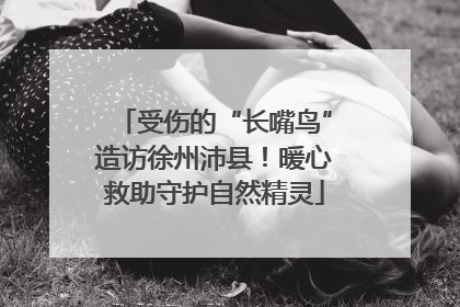 受伤的“长嘴鸟”造访徐州沛县！暖心救助守护自然精灵