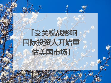 受关税战影响 国际投资人开始重估美国市场