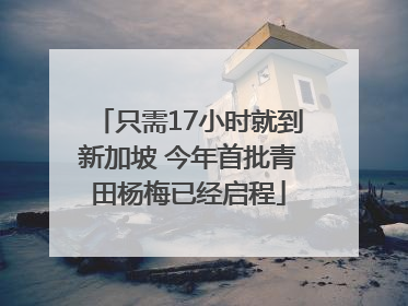 只需17小时就到新加坡 今年首批青田杨梅已经启程