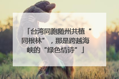 台湾同胞随州共植“同根林”，那是跨越海峡的“绿色情诗”